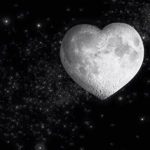 Meet your Posher, Astrid